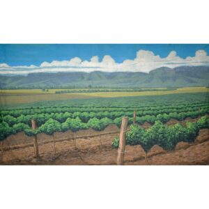 Australian Hunter Valley Vineyard Painted Backdrop BD-0903