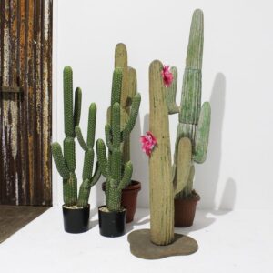Large Cactus-0