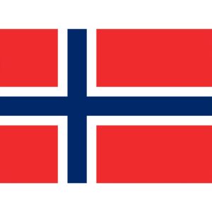 Flag Norway - Medium