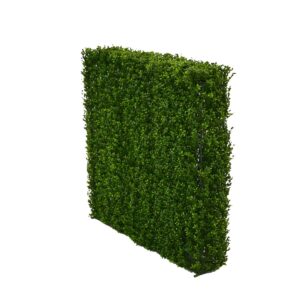 Large Hedge Wall
