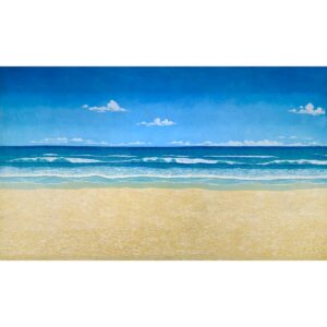 Perfect Beach with Sky Painted Backdrop BD-0022