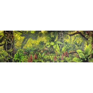 Tropical Jungle Painted Backdrop BD-0083