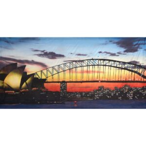 Sydney Harbour Sunset Painted Backdrop BD-0913