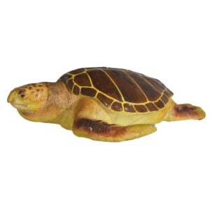 Animal - Life-size Turtle