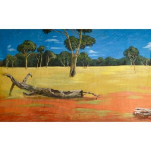Australian Outback Desert Landscape With Grassy Fields Painted Backdrop BD-0112