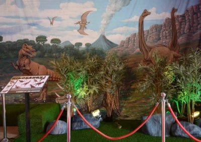 A Night at the Museum Theme - Sydney Prop Specialists