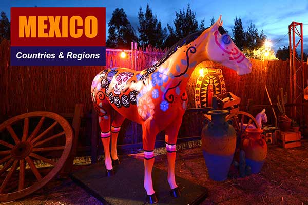 Mexico Theme - Sydney Prop Specialists